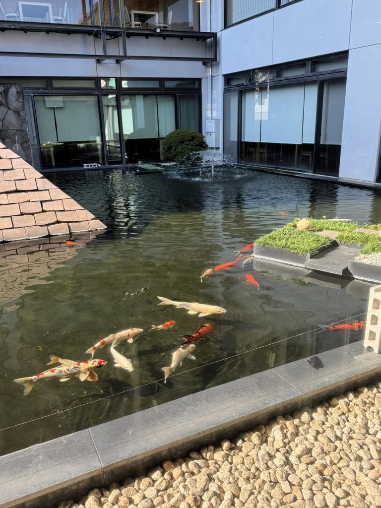 「ラフォーレ伊東温泉 湯の庭」の中の池の写真